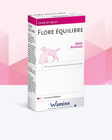 Floréquilibre Petits animaux - Wamine