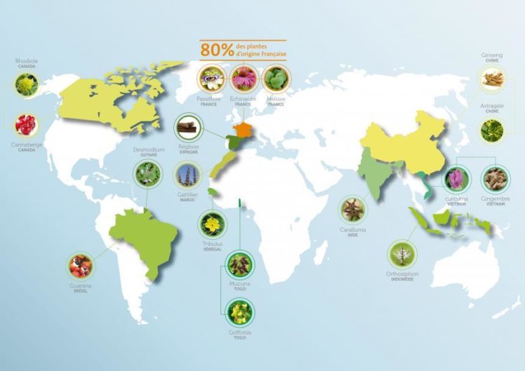 Carte du sourcing des plantes EPS Wamine