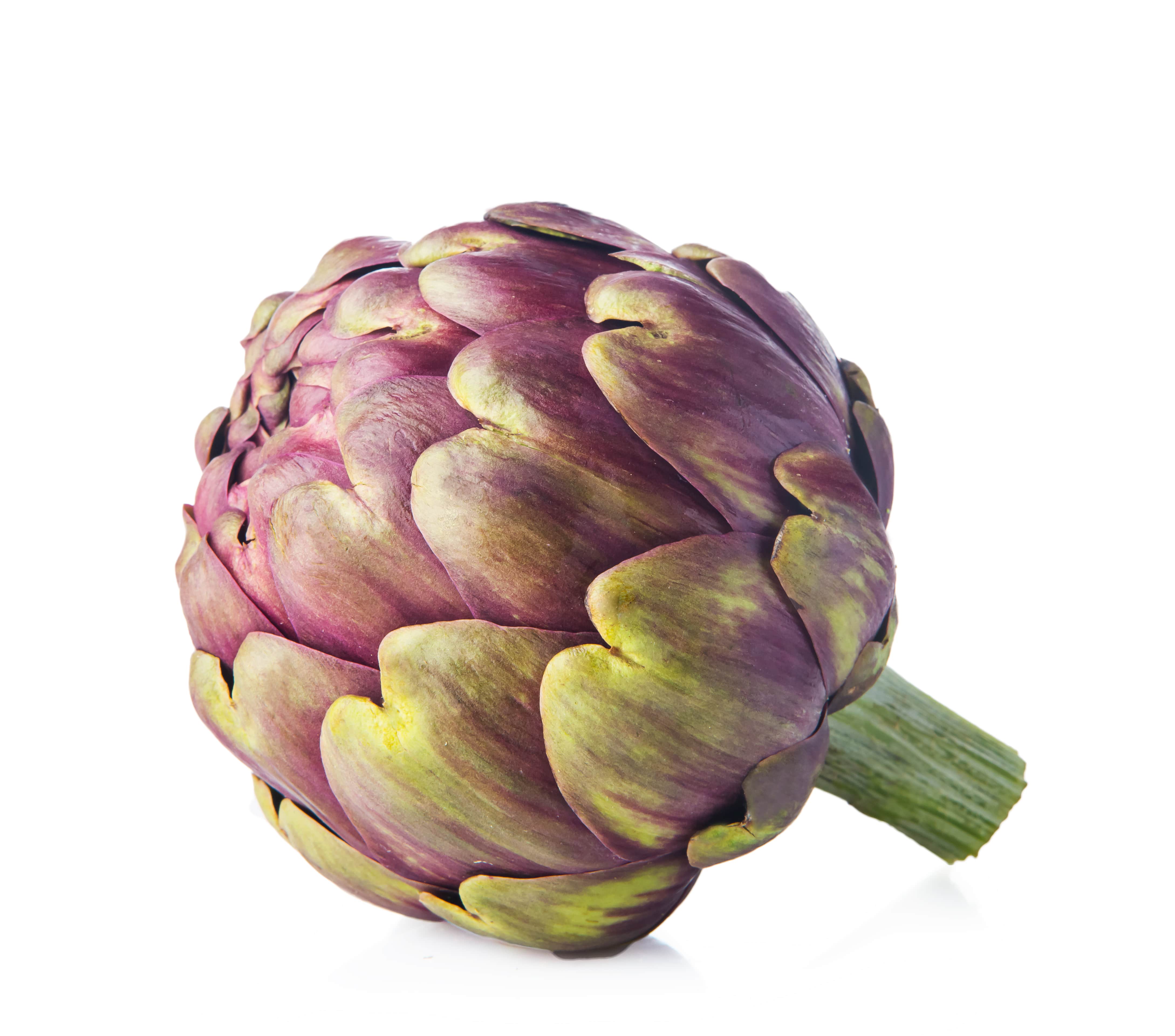 Artichaut - Wamine