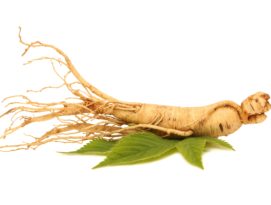 Ginseng