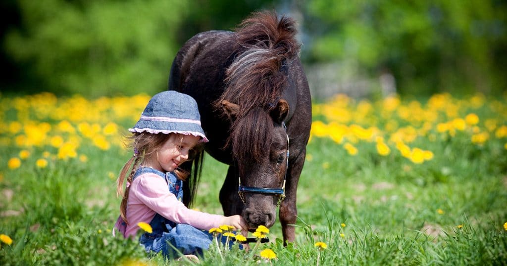 petite fille assise dans l'herbe avec un cheval