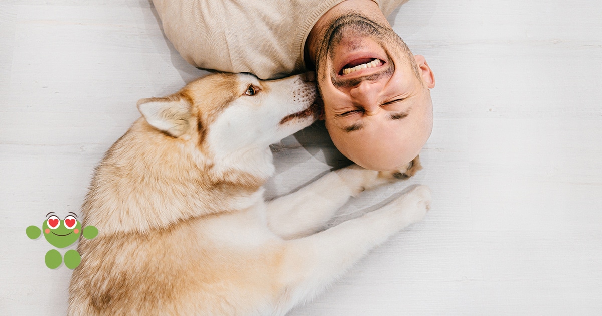 La Relation Maitre Chien Un Levier D Epanouissement Personnel