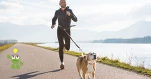 Homme qui court avec son chien attaché à lui par un harnais