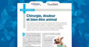 Les maladies endocriniennes chez le chien - Wamine